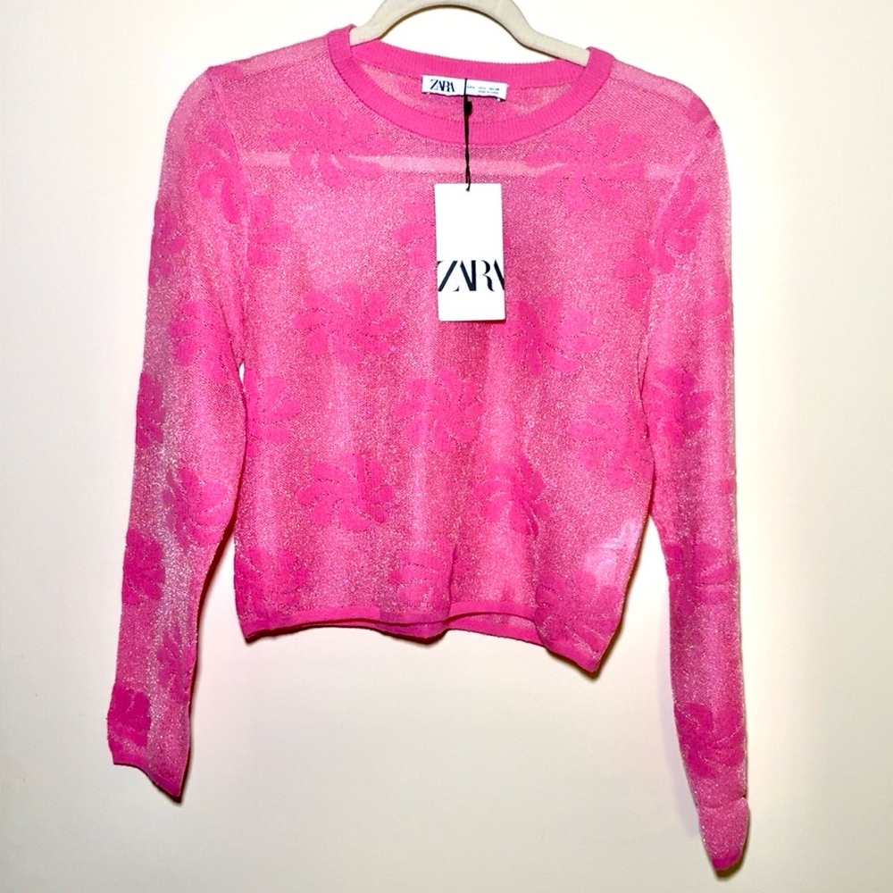 Zara Pink Mesh Embroidered Top